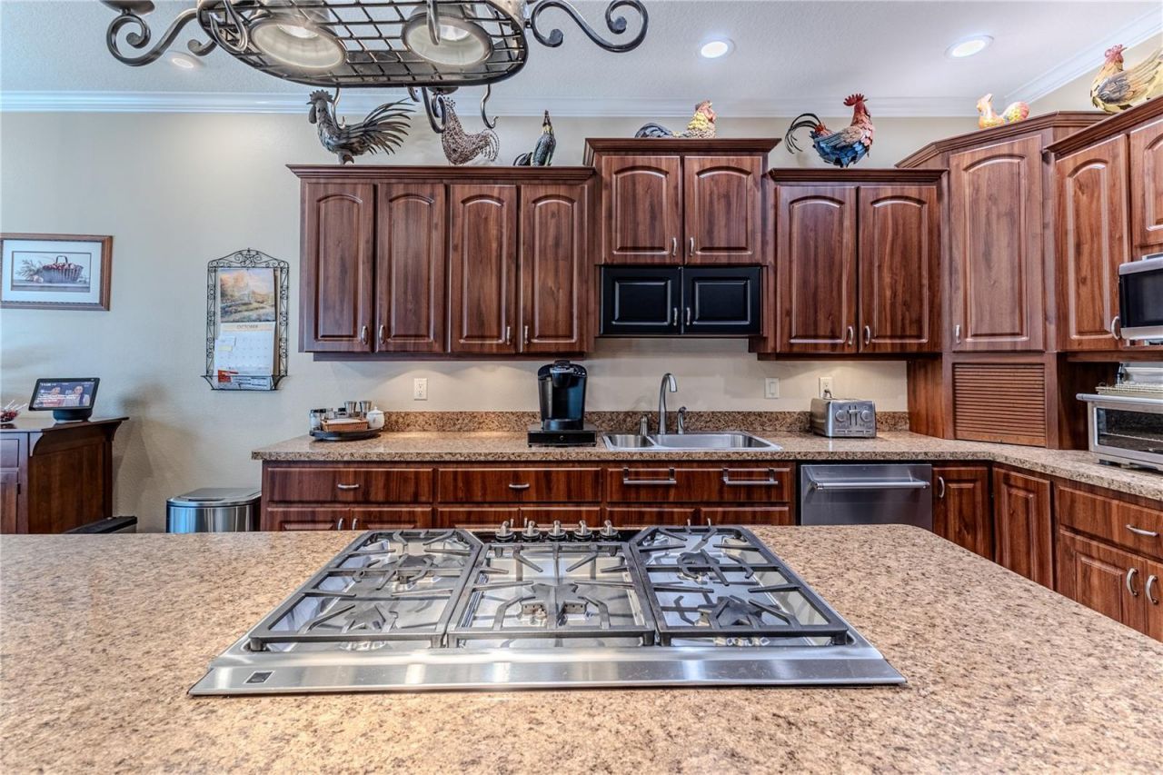 15405 Vanessa Lane, Brooksville, FL 34604 Photo