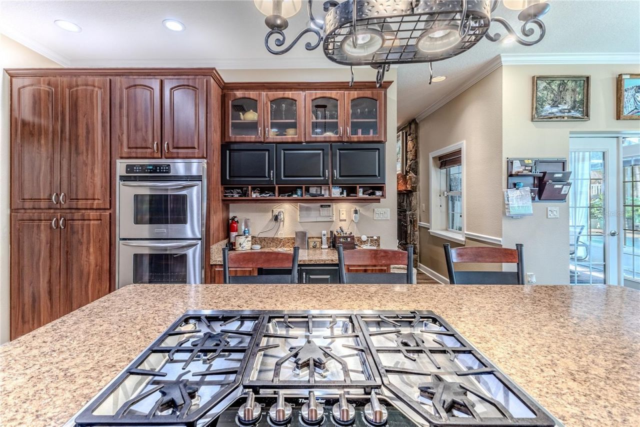 15405 Vanessa Lane, Brooksville, FL 34604 Photo