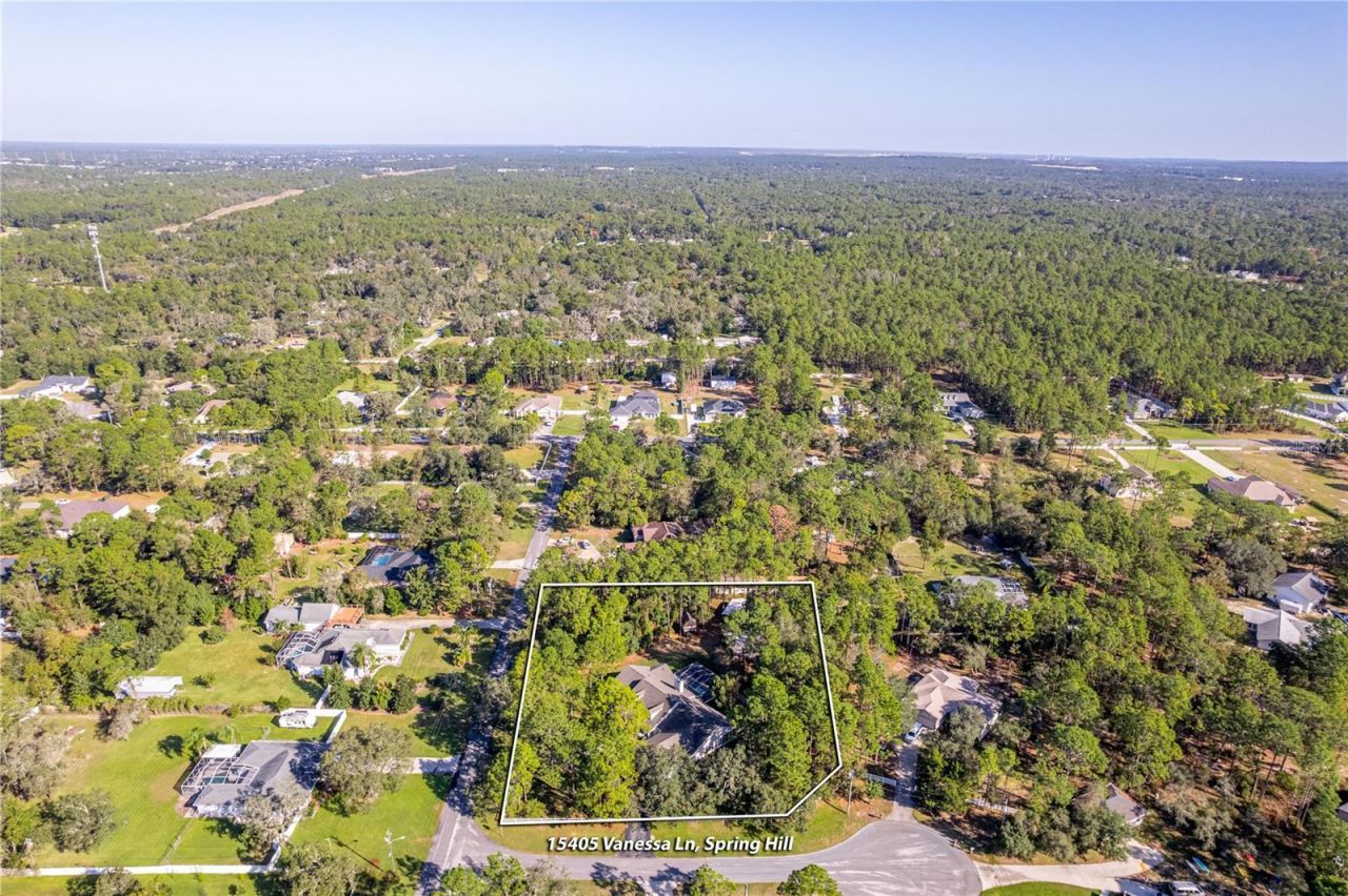 15405 Vanessa Lane, Brooksville, FL 34604 Photo