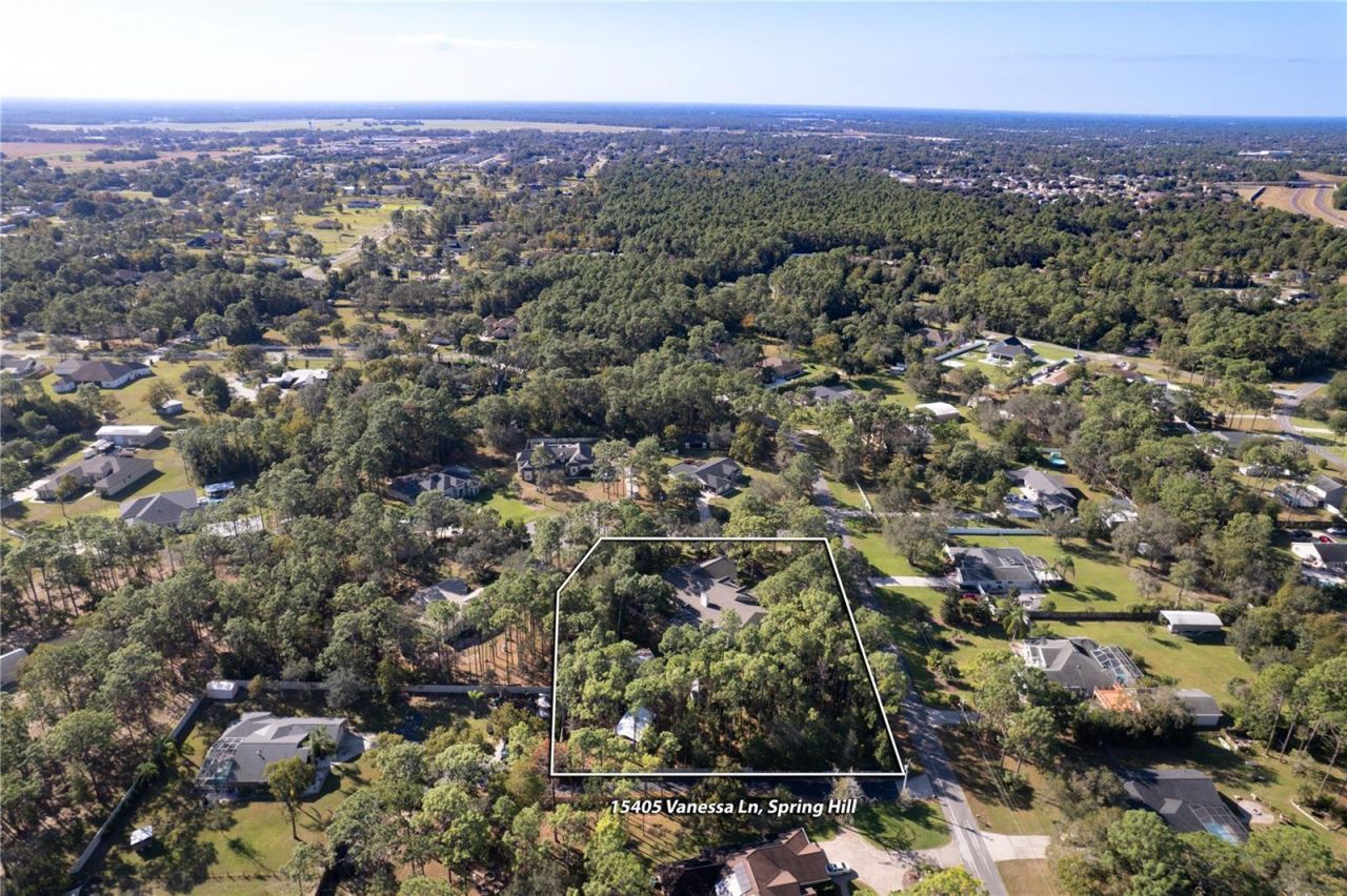 15405 Vanessa Lane, Brooksville, FL 34604 Photo