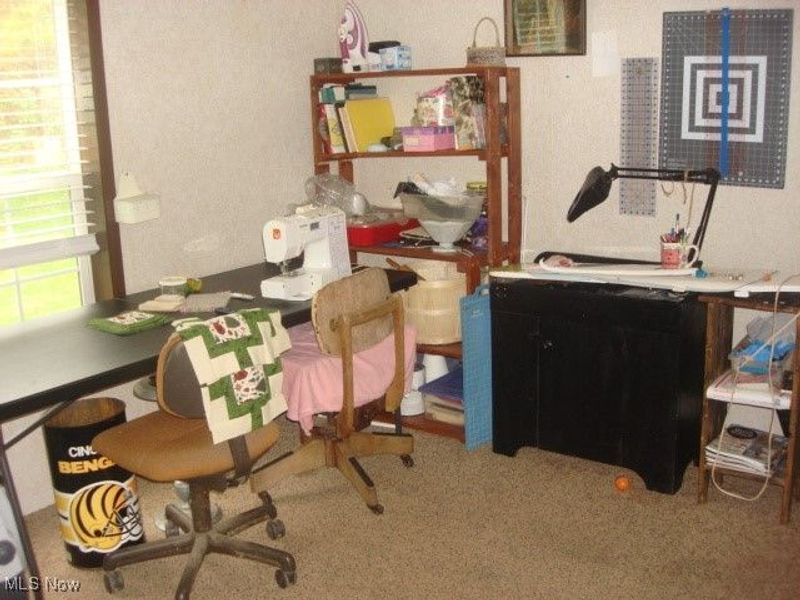 16691 Dog Road, Newcomerstown, OH 43832 Photo 10