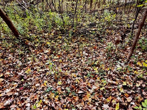 lot 302 Hilcrest/Helen DR., Mayville, MI 48744