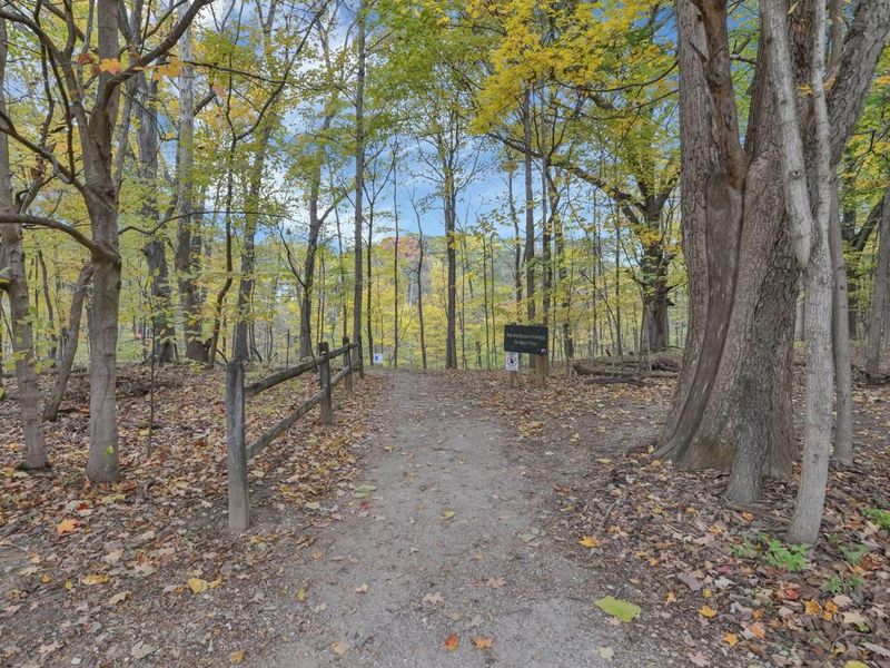 365 Cover Place, Columbus, OH 43235 Photo 36