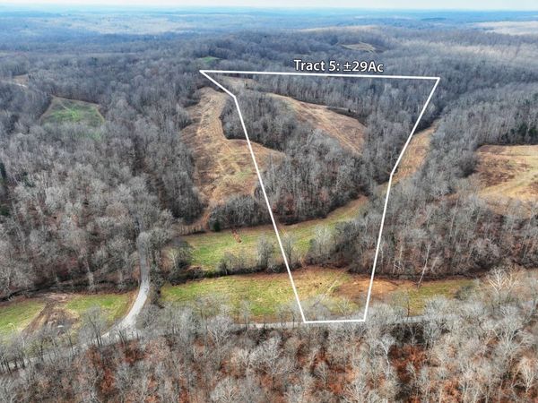 0 Johnnie Rd, Indian Mound, TN 37079