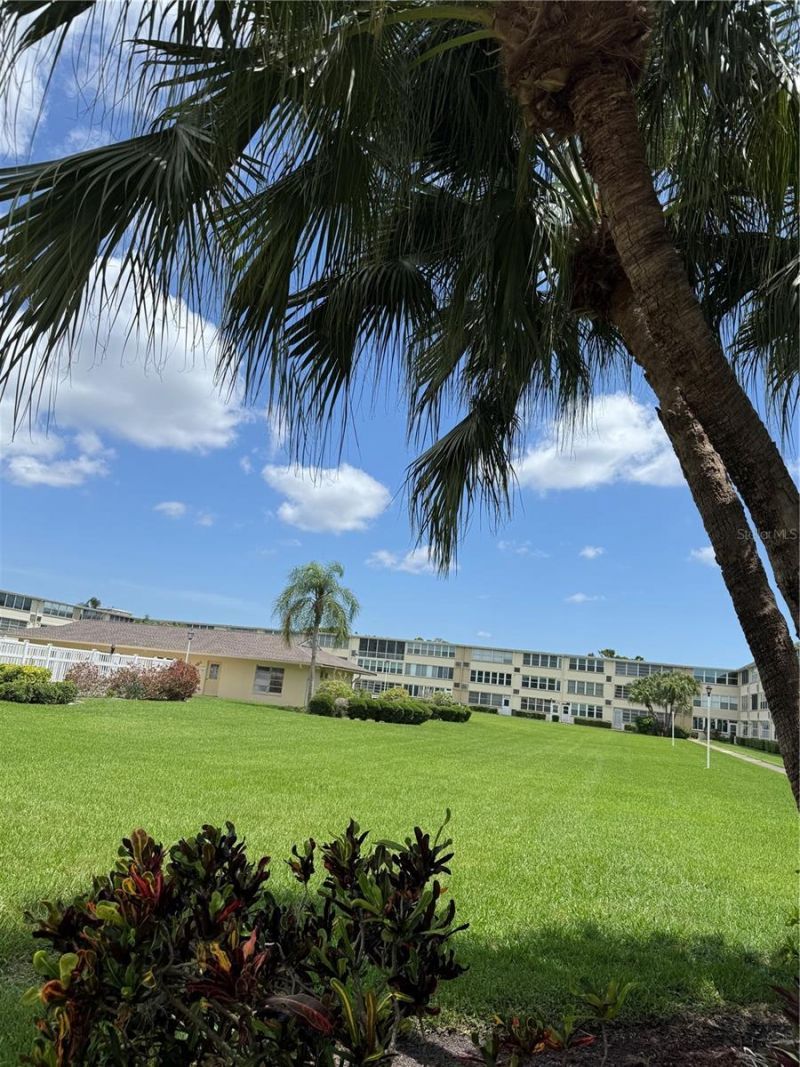 8101 11th Street N, Unit 320, Saint Petersburg, FL 33702 Photo