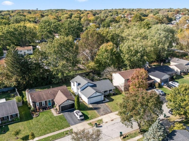 8205 Longhorn Road, Powell, OH 43065 Photo 51