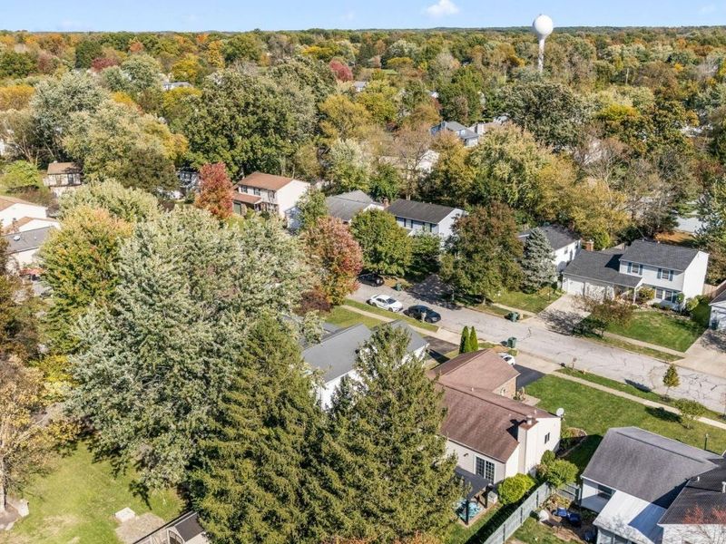 8205 Longhorn Road, Powell, OH 43065 Photo 52