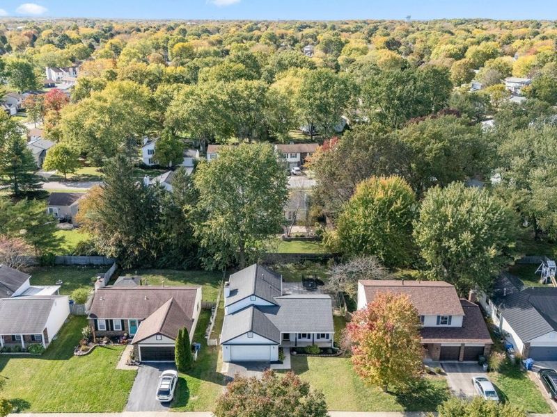 8205 Longhorn Road, Powell, OH 43065 Photo 53