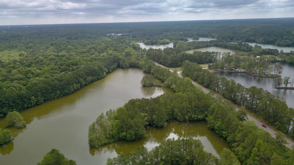 3010 S Hwy 17a Photo 11