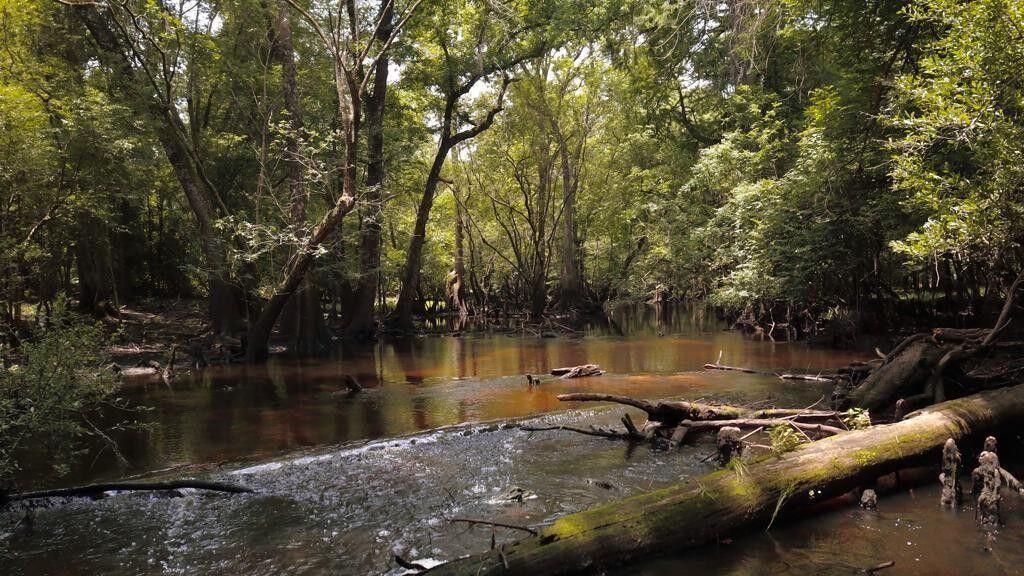 3010 S Hwy 17a Photo 12