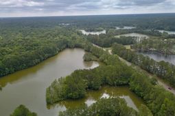 3010 S Hwy 17a photo 4