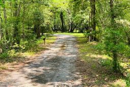 3010 S Hwy 17a photo 4