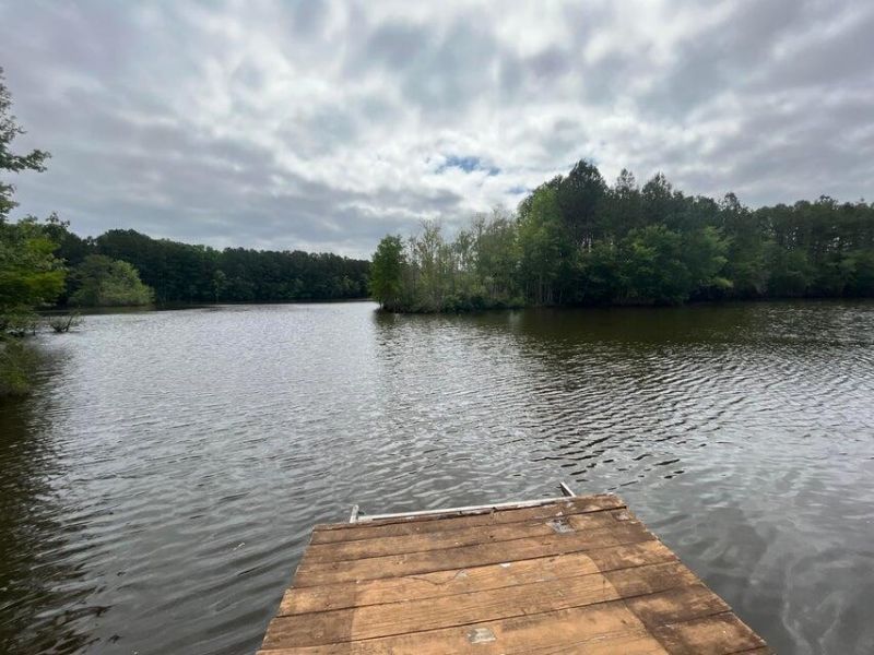 3010 S Hwy 17a Photo 4