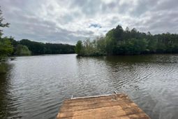 3010 S Hwy 17a photo 4