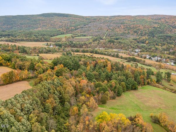 171 Westkill Road, Blenheim, NY 12131