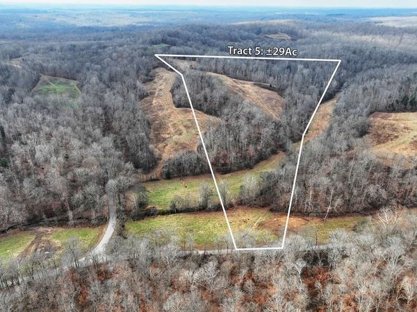 Tract #5 Johnnie Rd, Indian Mound, TN 37079