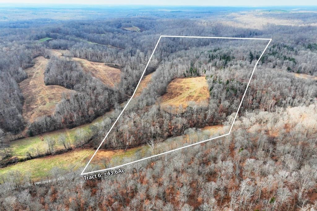 Tract #6 Johnnie Rd, Indian Mound, TN 37079 Main Photo