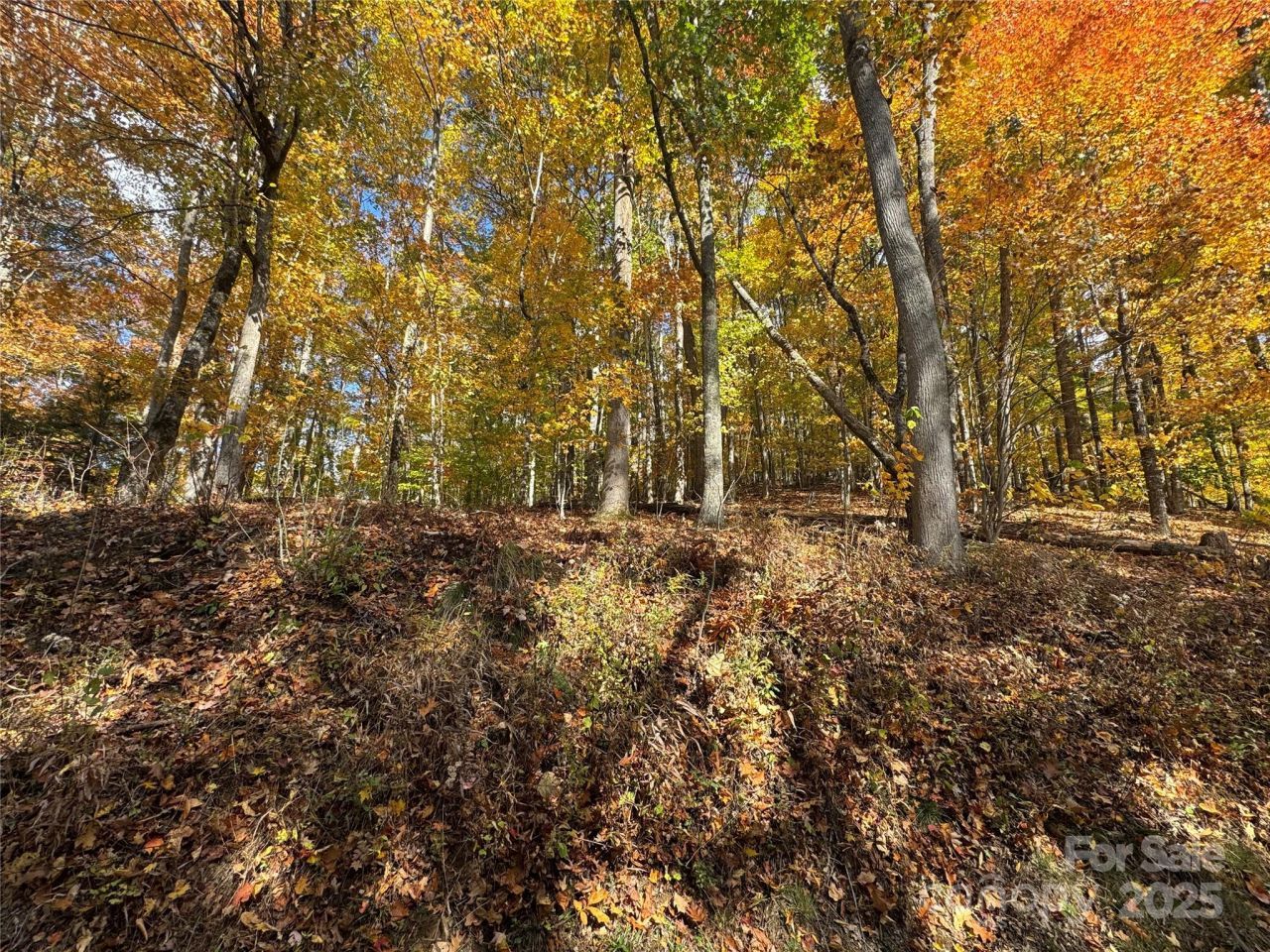 678/679 El Miner Drive, Mars Hill, NC 28754 Main Photo