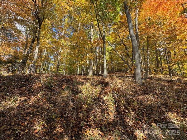 678/679 El Miner Drive, Mars Hill, NC 28754