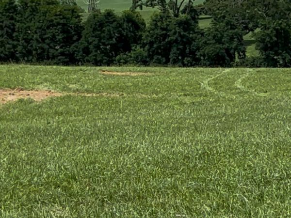 TBD ROUDABUSH LN, Unit 118C, CHURCHVILLE, VA 24421