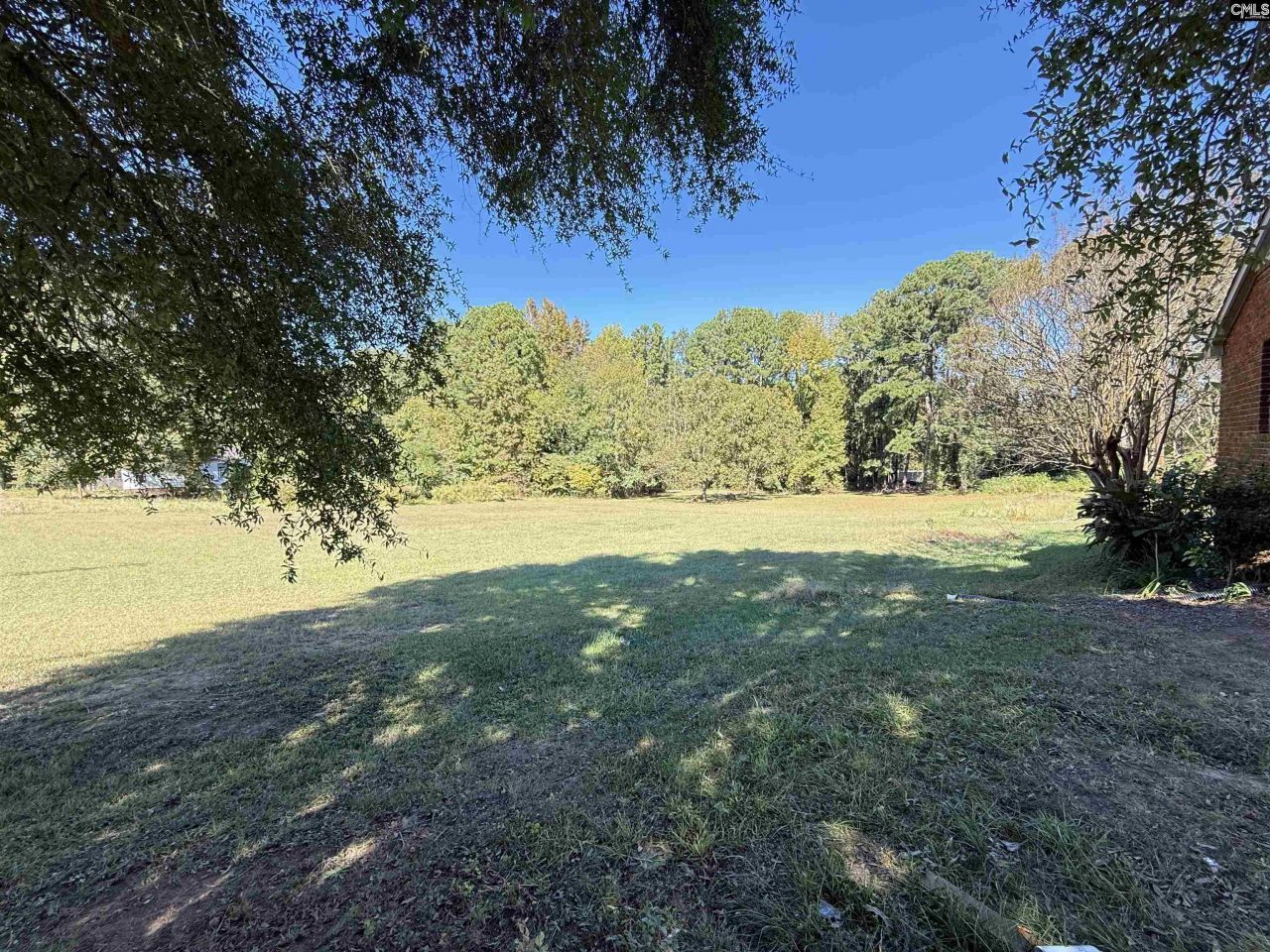 115 Chester Avenue Photo 4