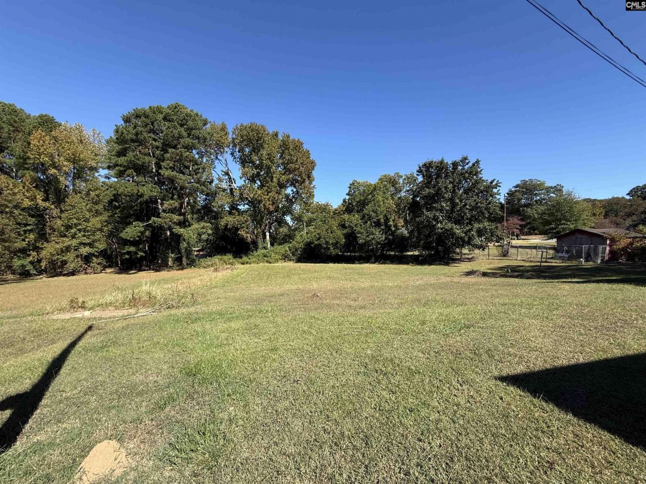 115 Chester Avenue Photo 7