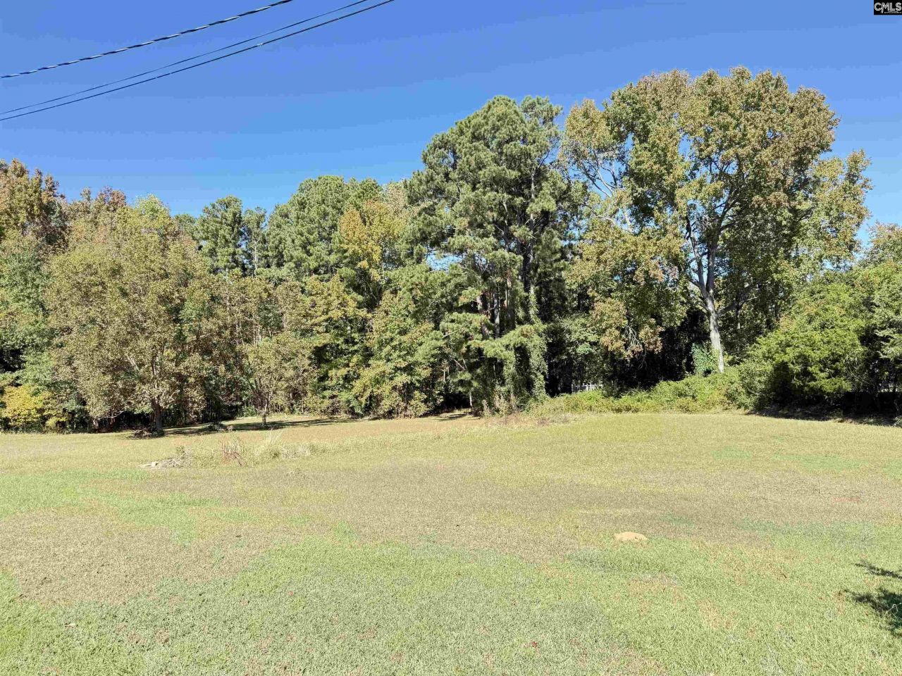 115 Chester Avenue Photo 9