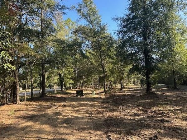 0 Newman Road, Mobile, AL 36695