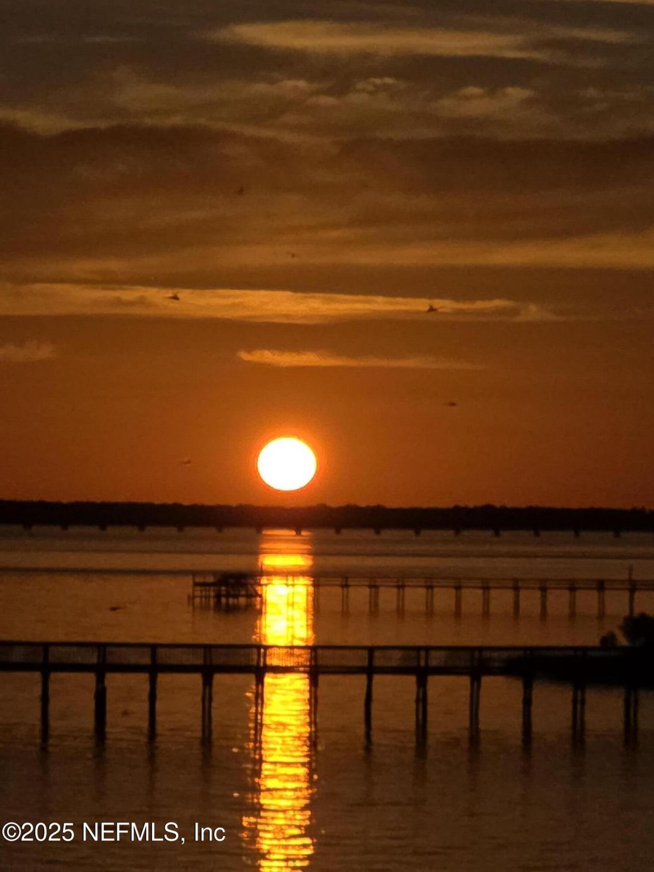 47 Blue Crab Lane, Panacea, FL 32346 Photo