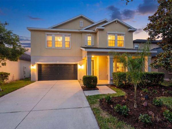 14256 BLUE DASHER DRIVE, RIVERVIEW, FL 33569