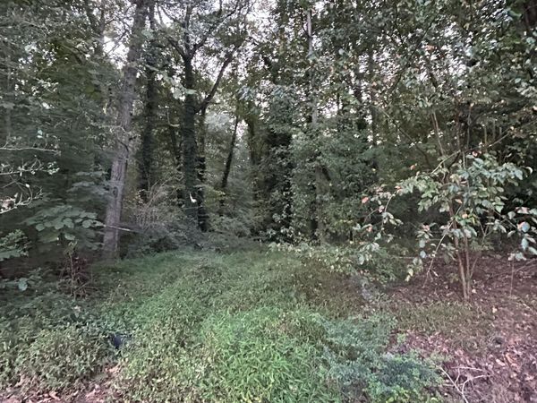 3740 Las Olas Drive, South Fulton, GA 30349