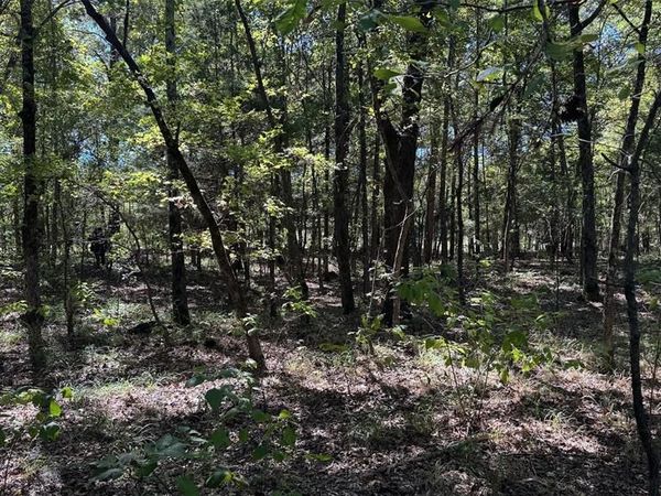 75 County Road 2115 , Bagwell, TX 75412