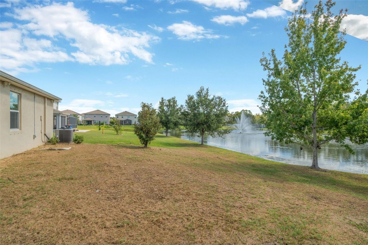 12542 Candleberry Circle, Tampa, FL 33635 Photo