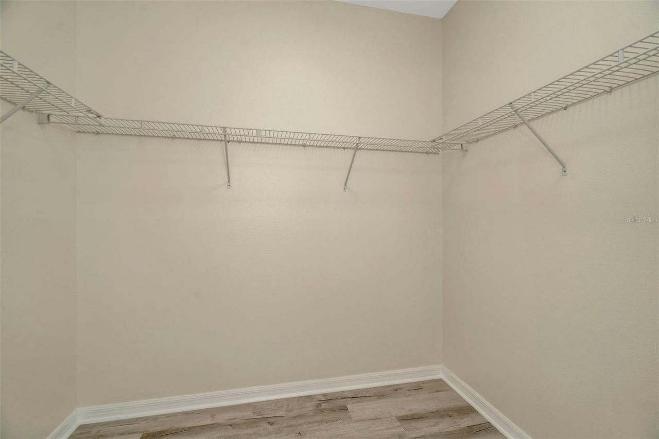 12542 Candleberry Circle, Tampa, FL 33635 Photo