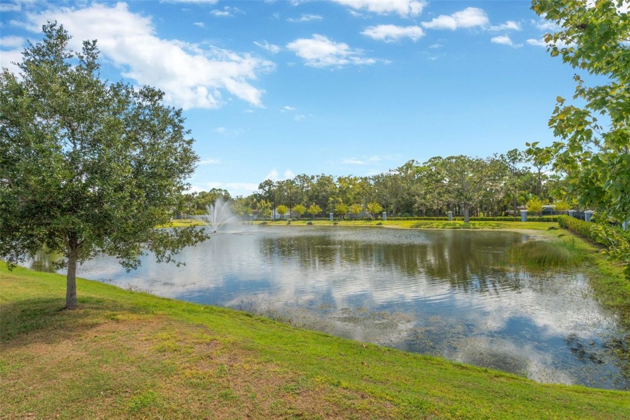 12542 Candleberry Circle, Tampa, FL 33635 Photo