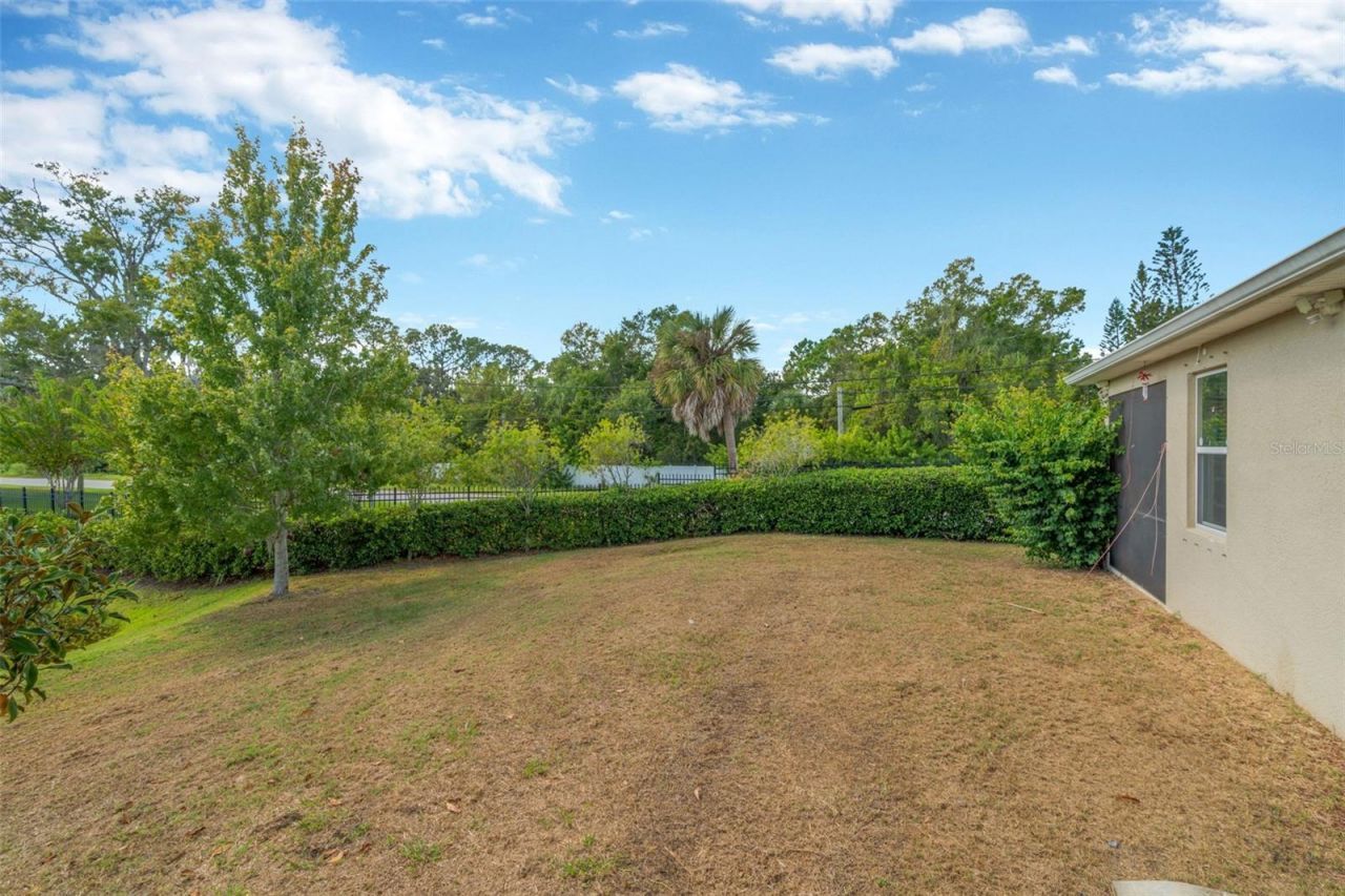 12542 Candleberry Circle, Tampa, FL 33635 Photo