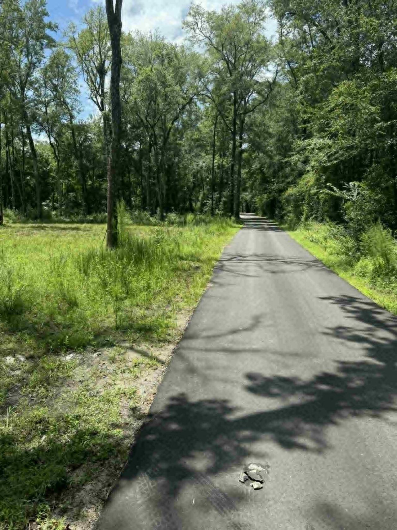 133 Boykin Lane Photo 4