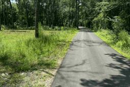 133 Boykin Lane photo 4