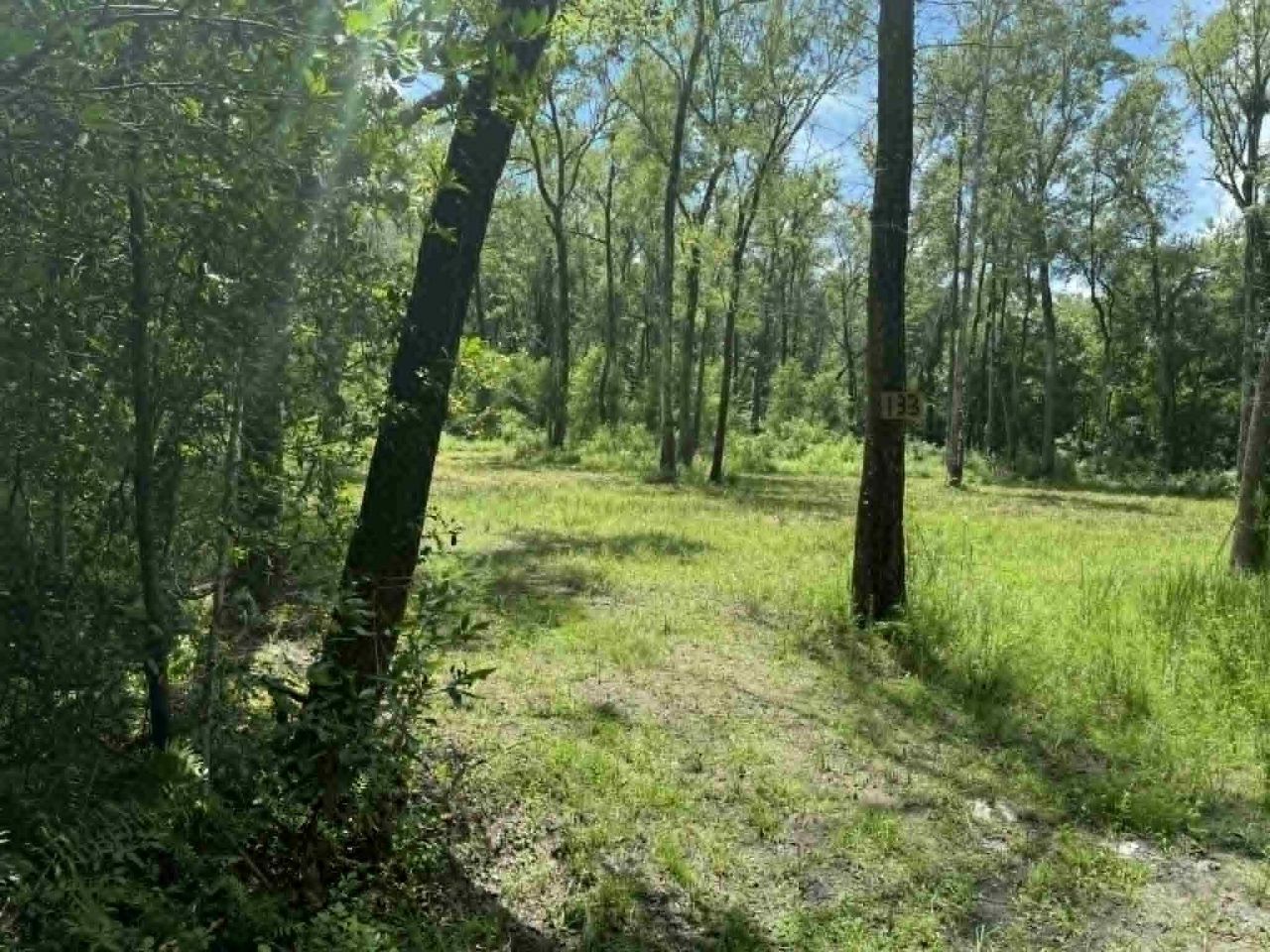 133 Boykin Lane Photo 5