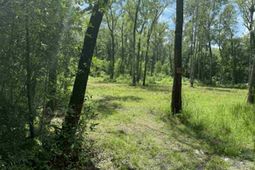 133 Boykin Lane photo 4