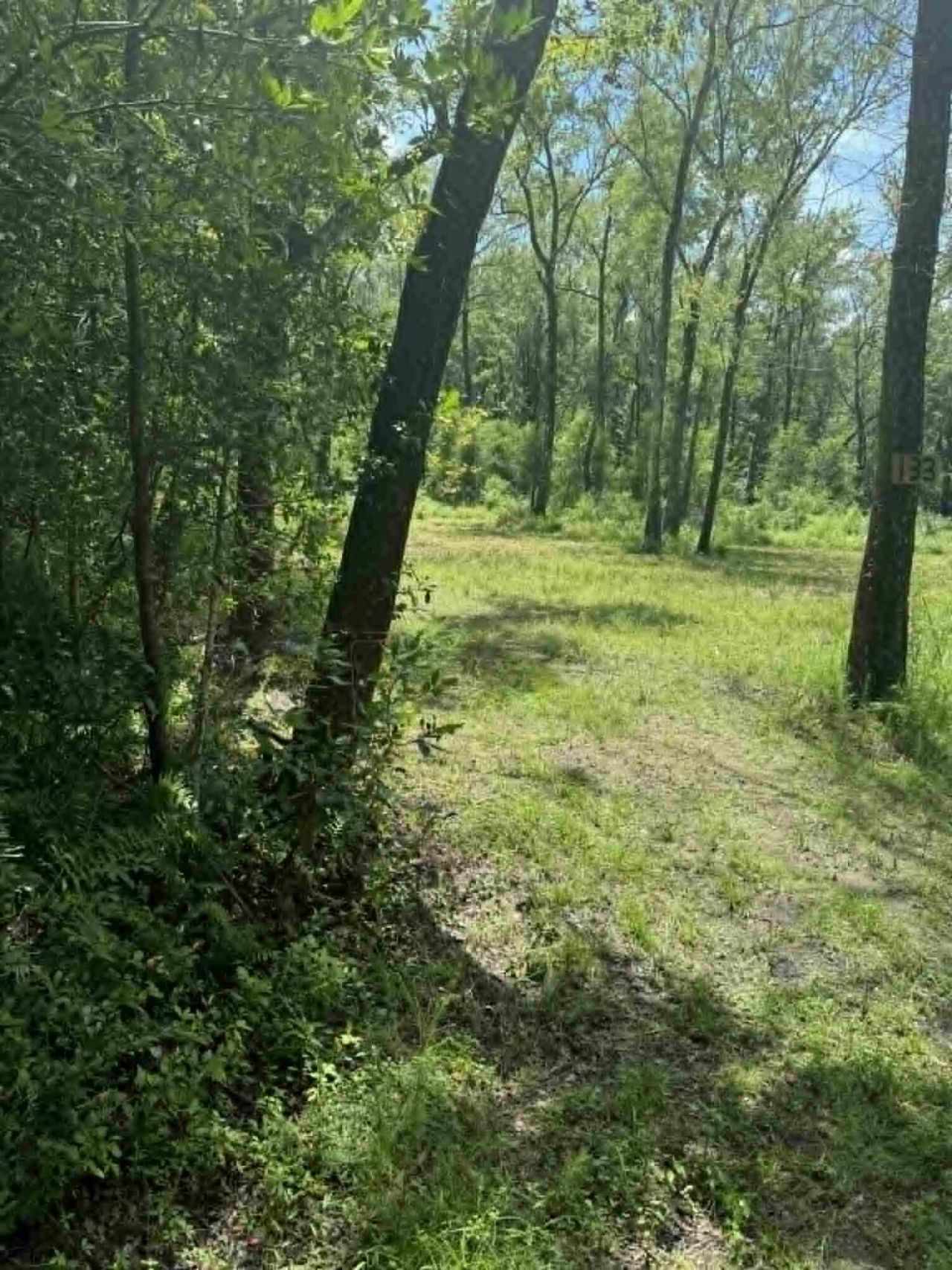 133 Boykin Lane Photo 6