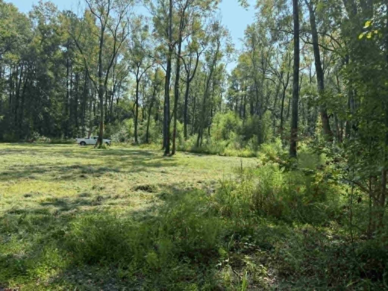 133 Boykin Lane Photo 8