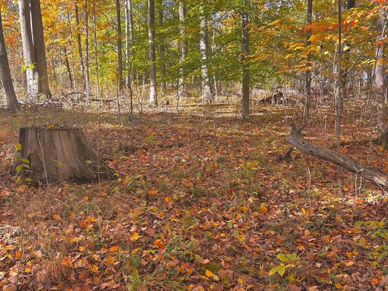 7326 State Route 19, Unit Unit 5 - L, Mount Gilead, OH 43338 Photo 8