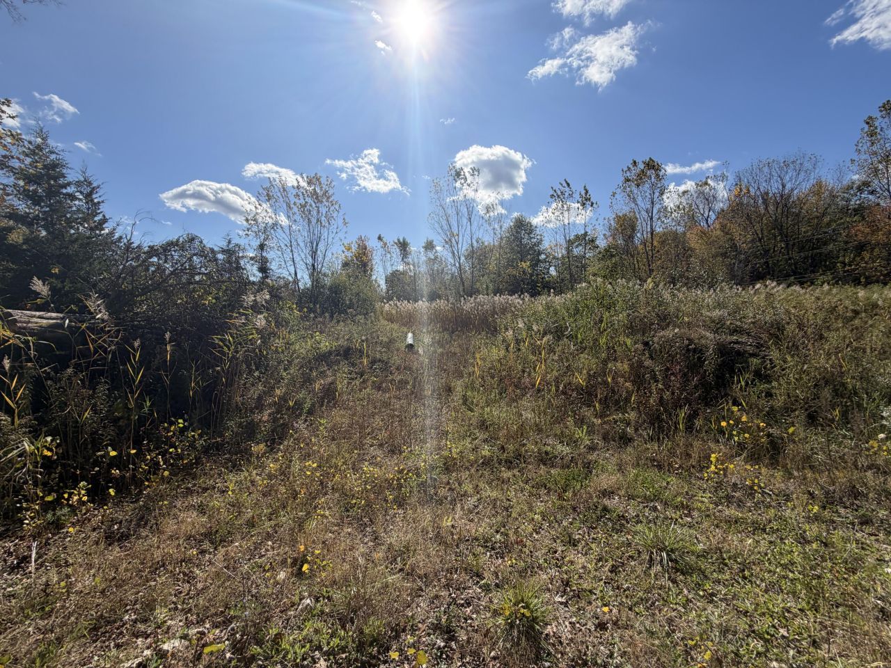 12608 Rawsonville Road, Belleville, MI 48111 Main Photo