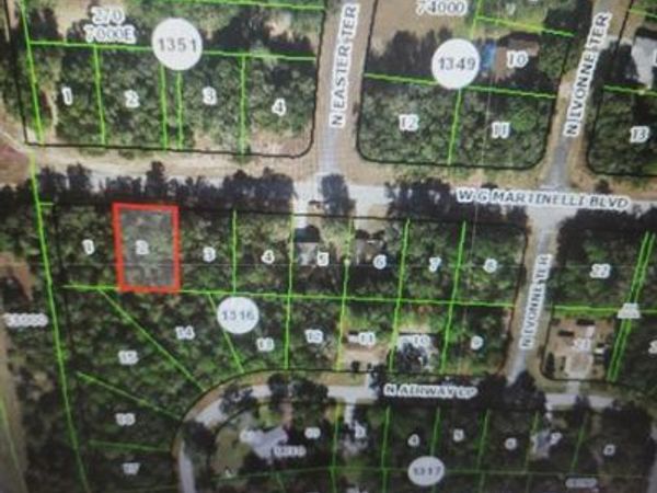 1248 W G Martinelli Boulevard, Citrus Springs, FL 34434
