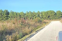 Tbd Tranquil Rd. photo 4