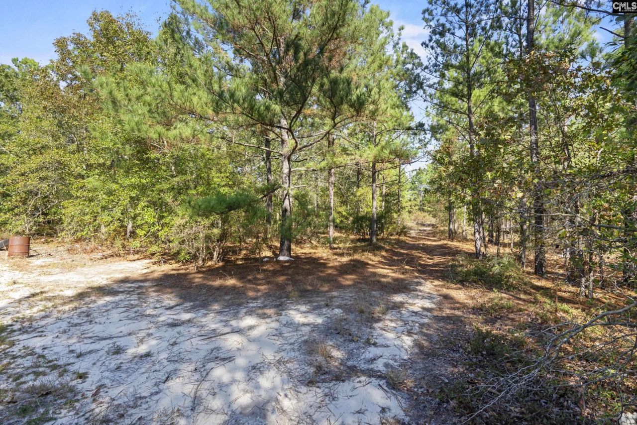 Beckham Lane  Photo 10