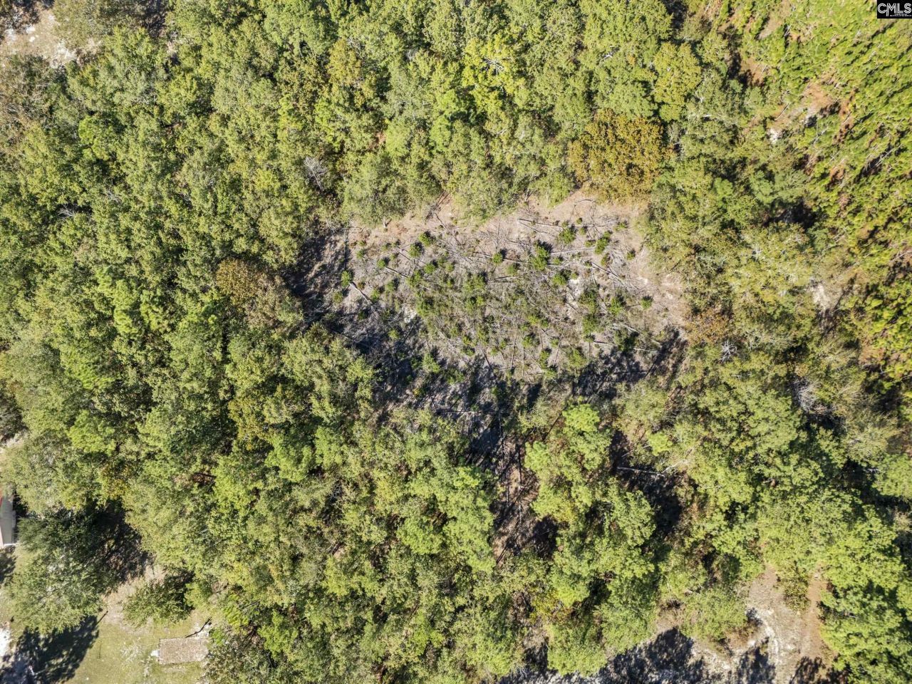 Beckham Lane  Photo 11