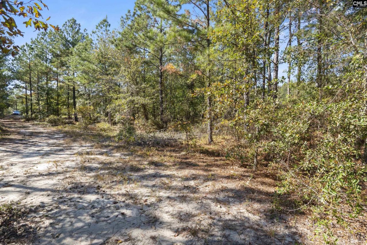 Beckham Lane  Photo 12