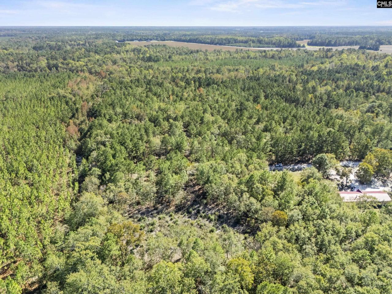 Beckham Lane  Photo 13